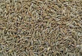 The Matel International - WhatsApp Image 2025-09-29 at 10.23.55 AM (2)